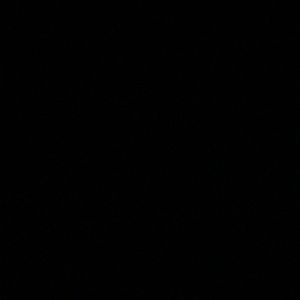 Meet your Posher, Chaz